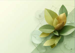 Expert Guidance, Cycle-Tested Experience, Private and Public Markets